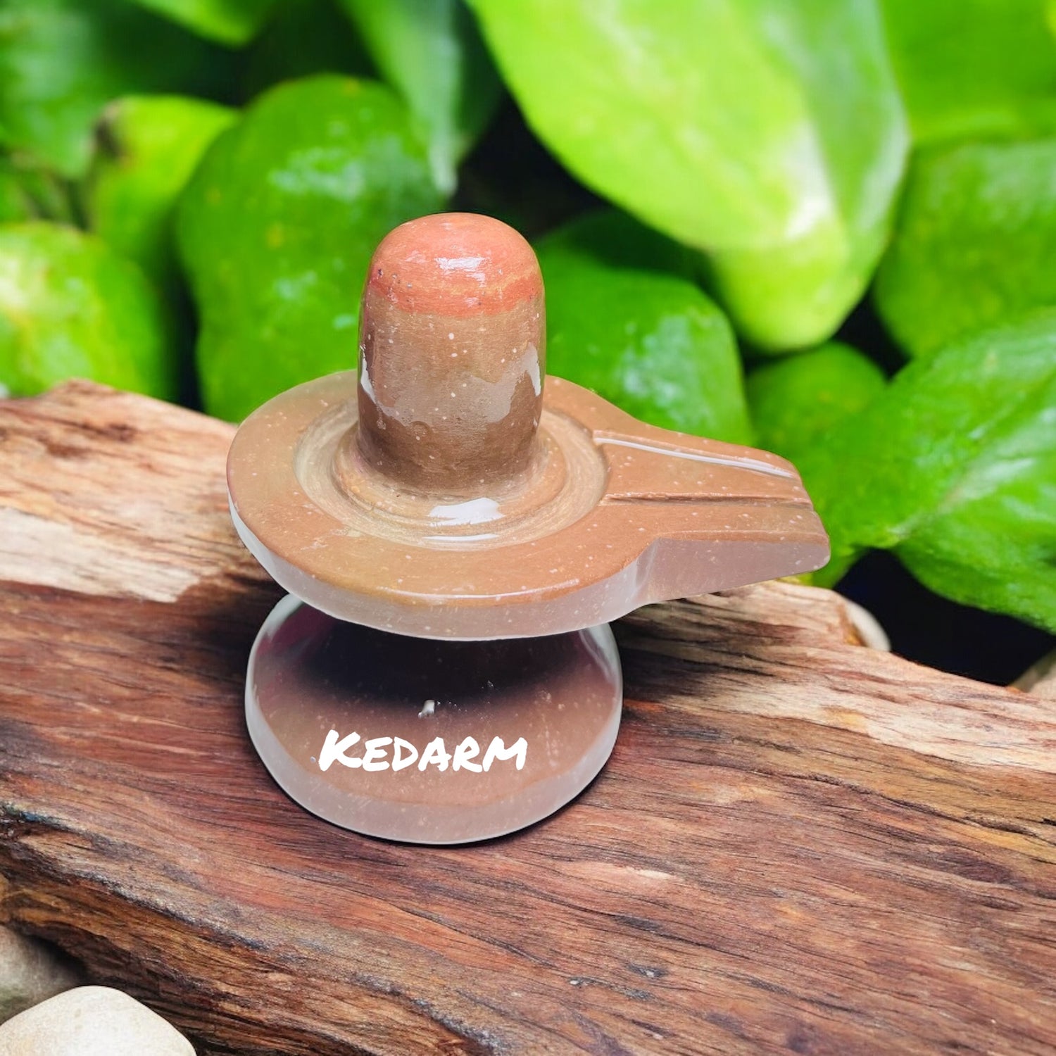 Narmadeshwar Shivling with jalhari