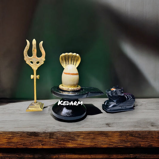 Tilakadhari 2inch Narmadeshwar Shivling with 4inch damru shape jalhari, Nandi ji , Nang ji , Trishul (full set)